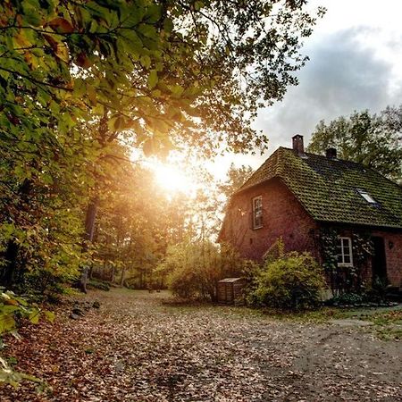 Forsthaus - Gut Thansen Soderstorf Eksteriør billede