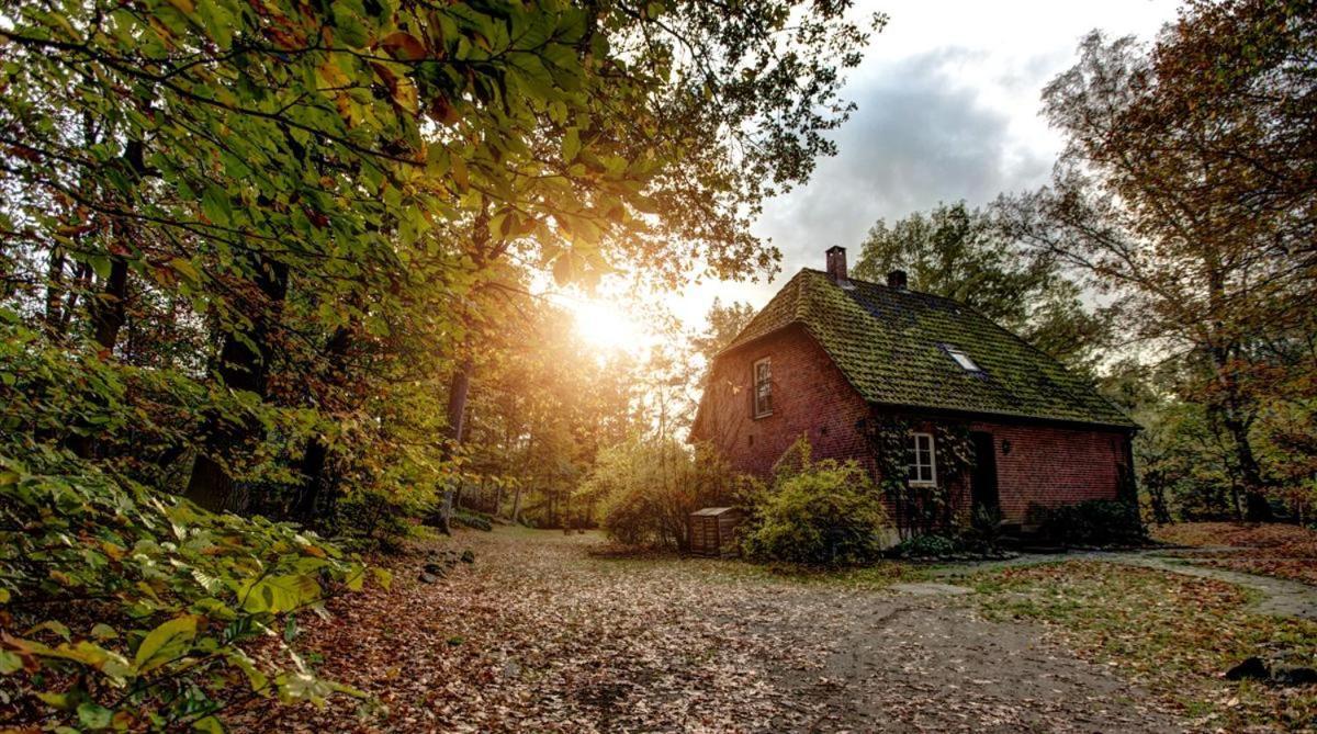 Forsthaus - Gut Thansen Soderstorf Eksteriør billede